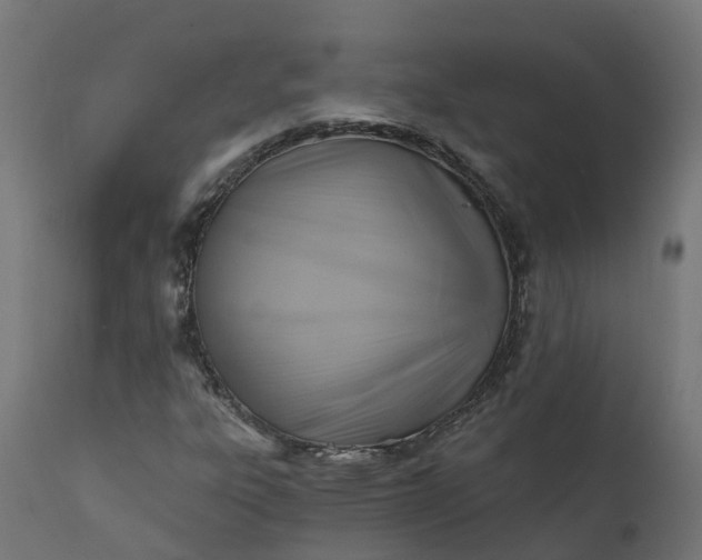 X0000111511303200907281305