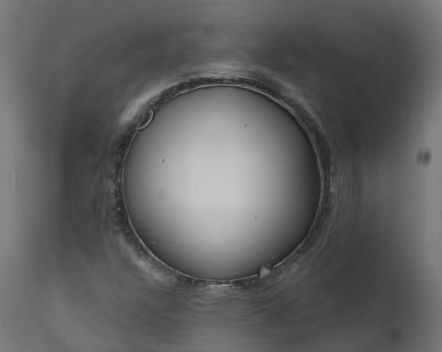X0000111511304200907281305