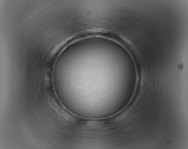 X0000111511305200907281305