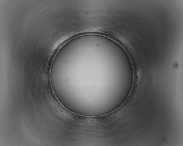 X0000111511308200907281305