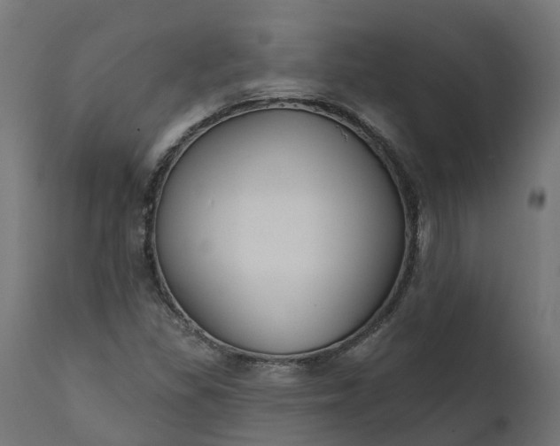 X0000111511309200907281305
