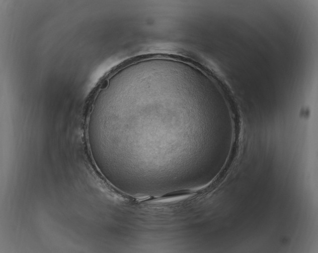 X0000111511312200907281305