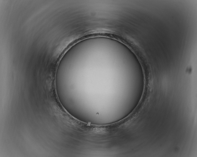 X0000111511313200907281305