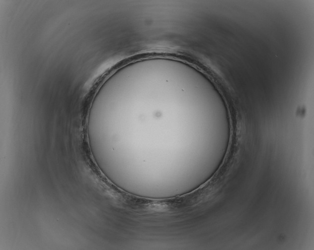 X0000111511315200907281305