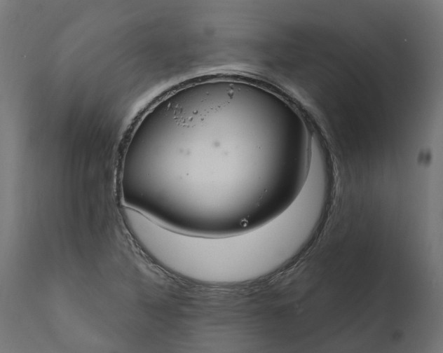 X0000111511316200907281305