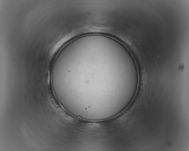 X0000111511317200907281305