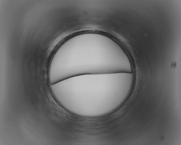 X0000111511318200907281305
