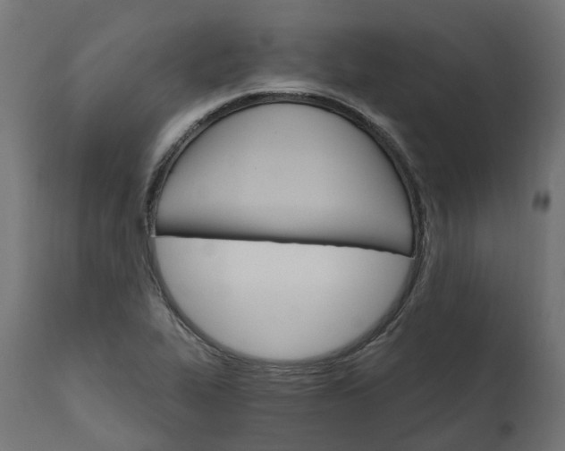 X0000111511319200907281305