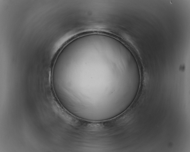X0000111511320200907281305