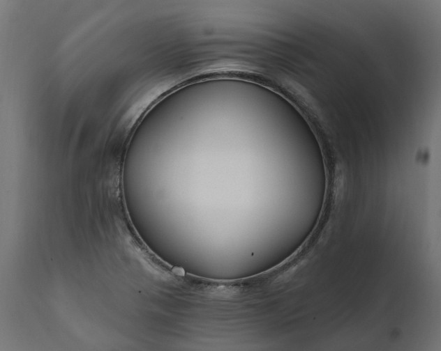 X0000111511321200907281305
