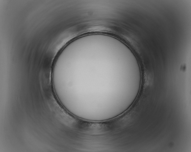 X0000111511322200907281305