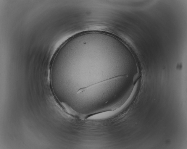 X0000111511324200907281305