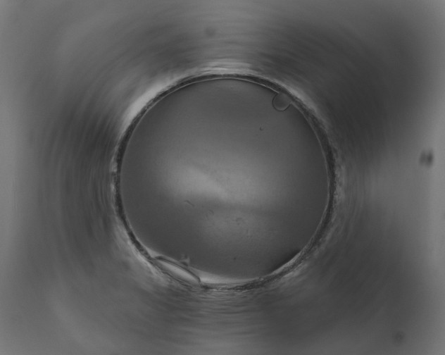 X0000111511325200907281305