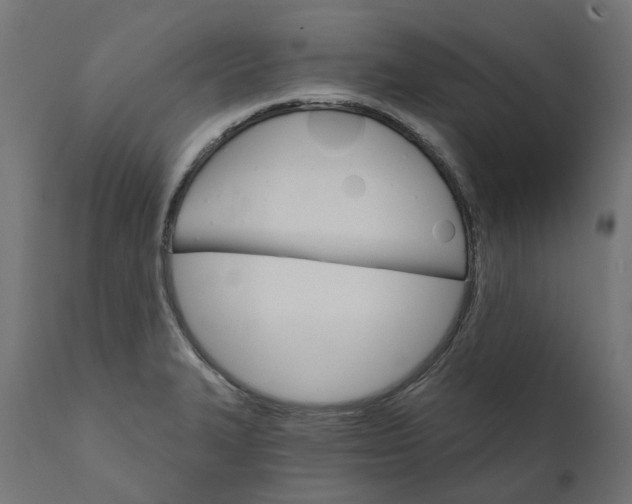 X0000111511327200907281305
