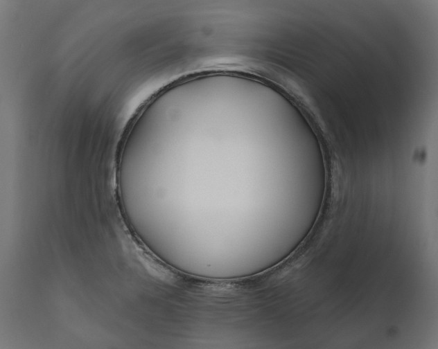 X0000111511328200907281305