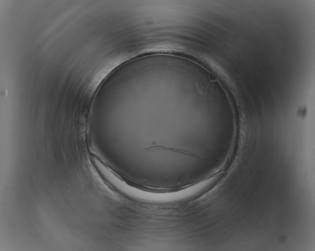 X0000111511329200907281305