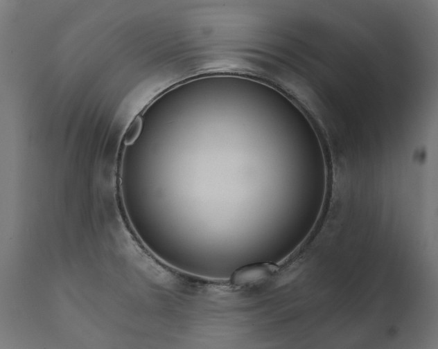 X0000111511330200907281305