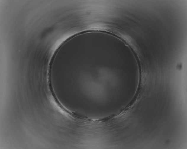 X0000111511331200907281305