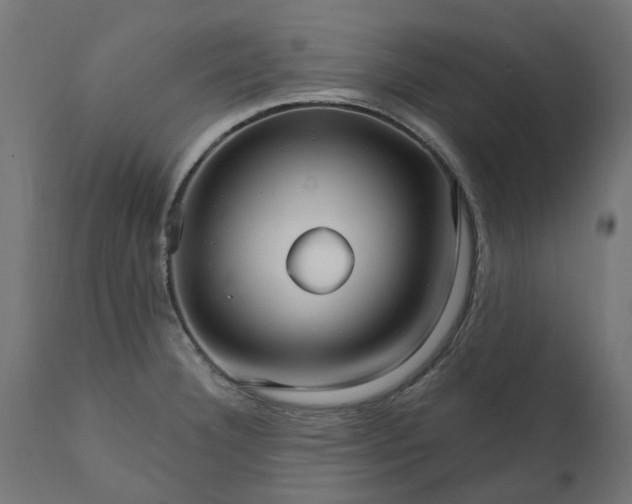 X0000111511332200907281305
