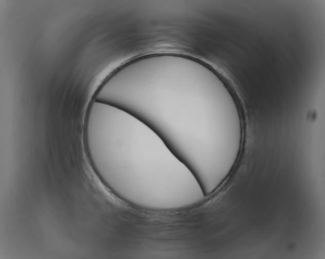 X0000111511333200907281305