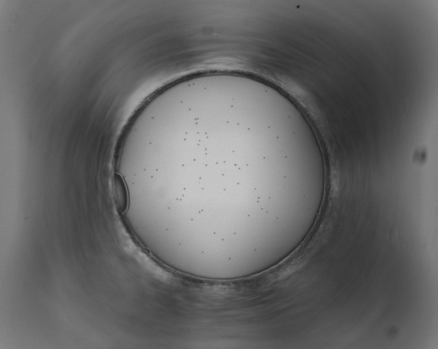 X0000111511334200907281305