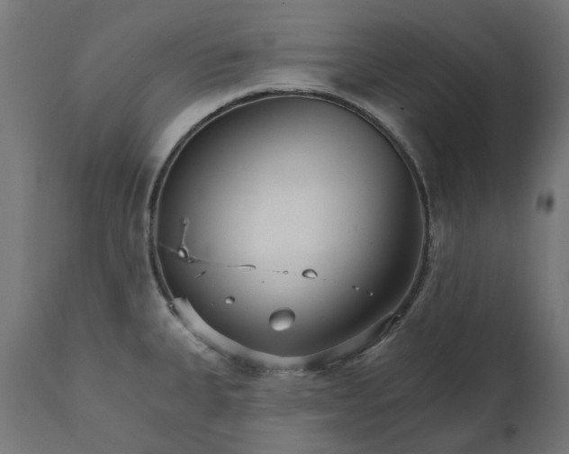 X0000111511335200907281305