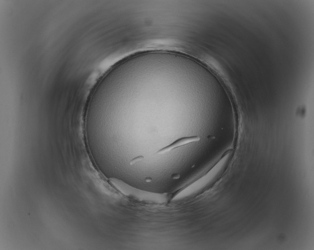 X0000111511336200907281306