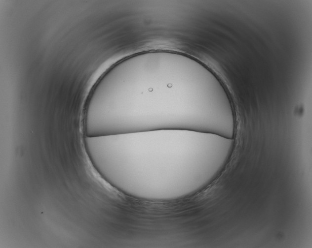 X0000111511339200907281306