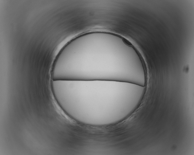 X0000111511341200907281306
