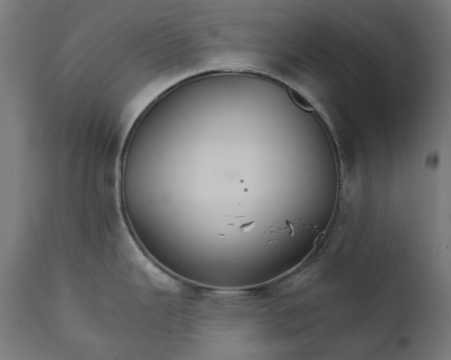 X0000111511343200907281306
