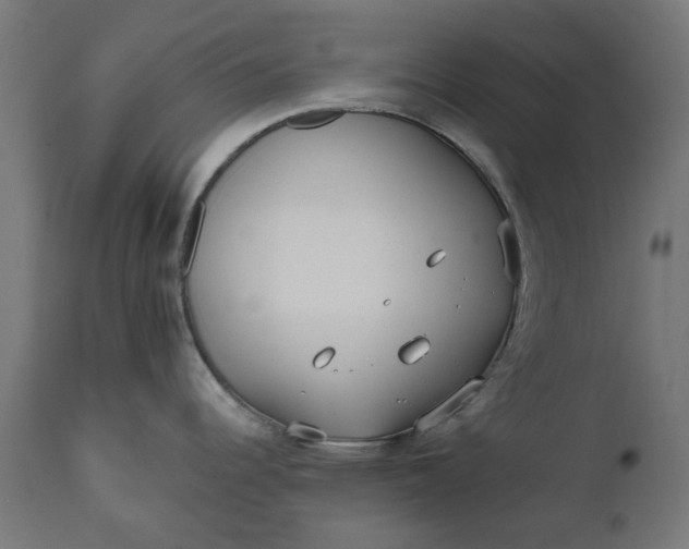X0000111511344200907281306