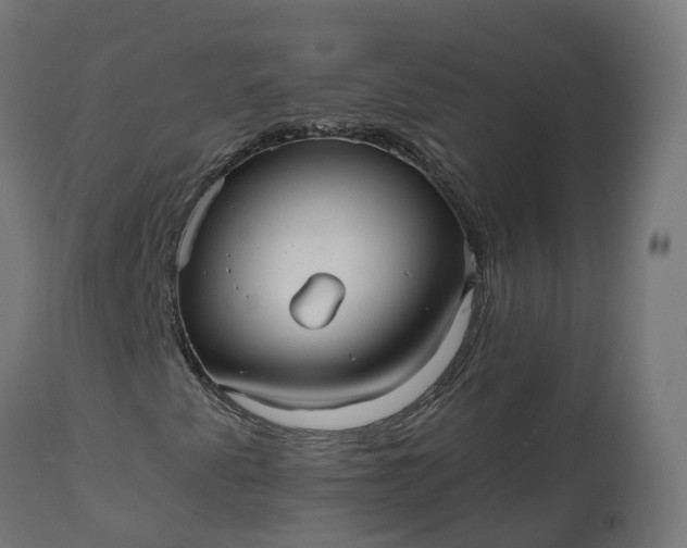 X0000111511345200907281305