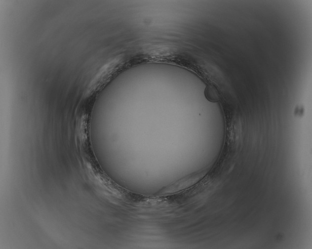 X0000111511346200907281305