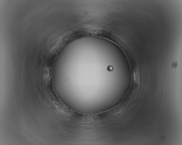 X0000111511347200907281305