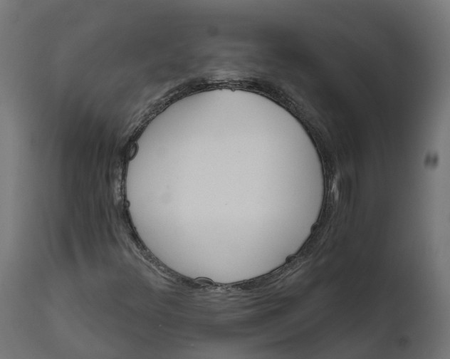 X0000111511348200907281305