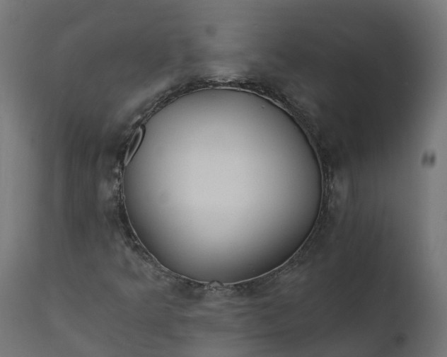 X0000111511349200907281305