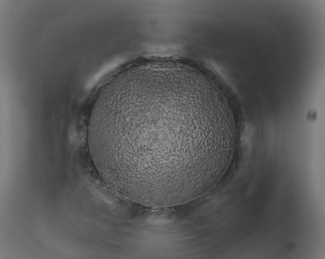 X0000111511350200907281305
