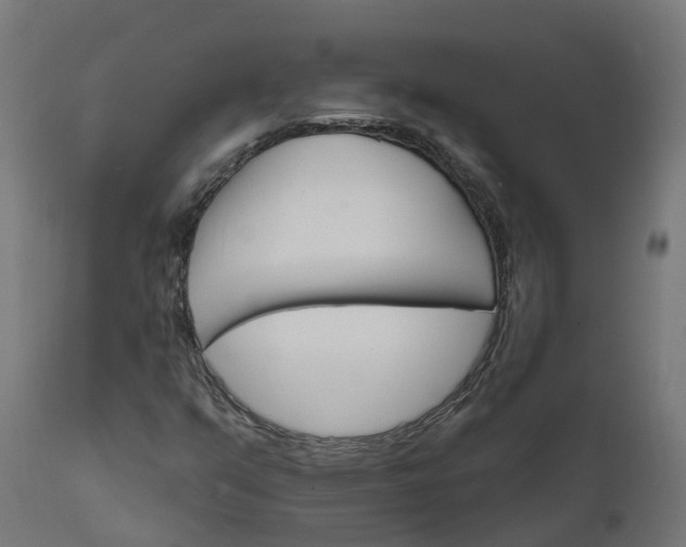 X0000111511351200907281305