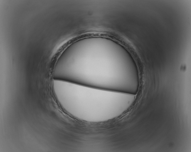 X0000111511352200907281305