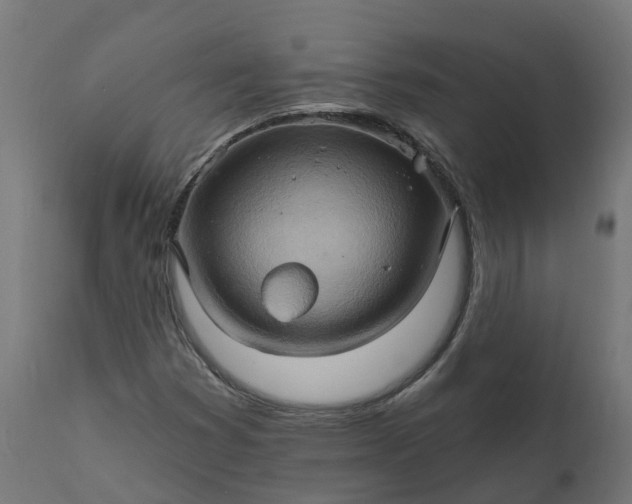 X0000111511353200907281305