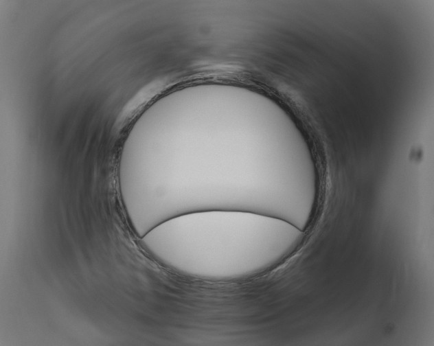 X0000111511354200907281305