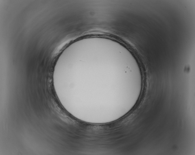 X0000111511355200907281305