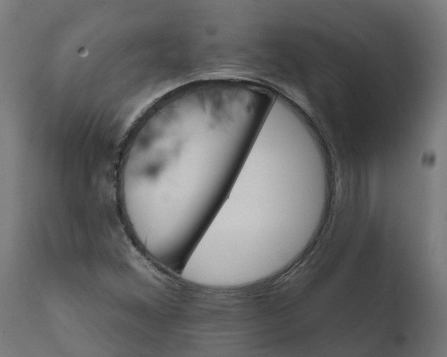 X0000111511356200907281305