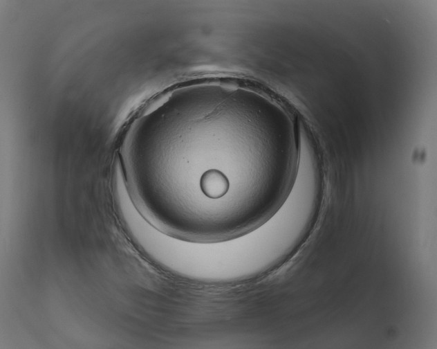 X0000111511357200907281305