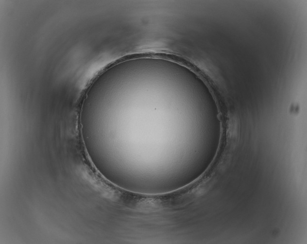 X0000111511358200907281305