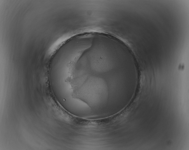 X0000111511359200907281305