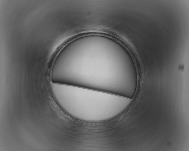 X0000111511360200907281305