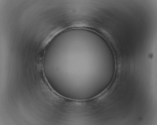 X0000111511361200907281305
