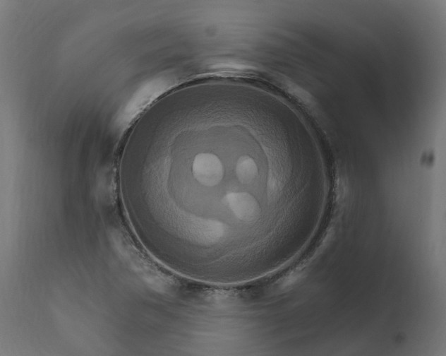 X0000111511362200907281305