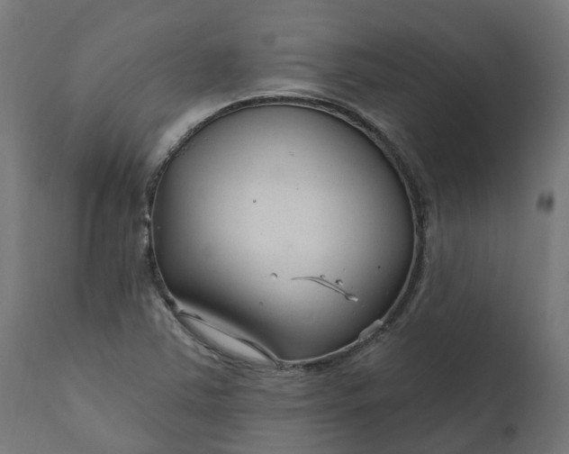 X0000111511363200907281305